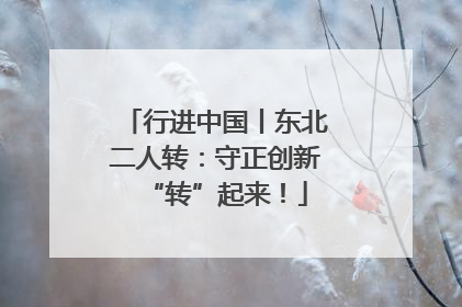 行进中国丨东北二人转：守正创新“转”起来！