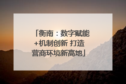 衡南：数字赋能+机制创新 打造营商环境新高地