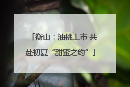 衡山：油桃上市 共赴初夏“甜蜜之约”