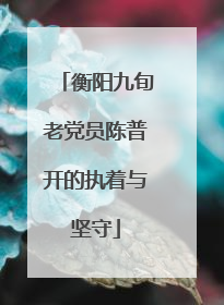 衡阳九旬老党员陈普开的执着与坚守