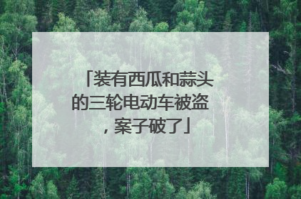 装有西瓜和蒜头的三轮电动车被盗，案子破了