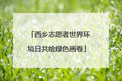 西乡志愿者世界环境日共绘绿色画卷