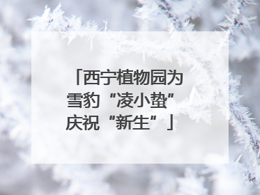 西宁植物园为雪豹“凌小蛰”庆祝“新生”