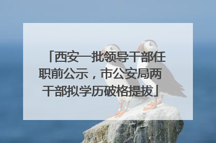 西安一批领导干部任职前公示，市公安局两干部拟学历破格提拔