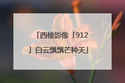 西楼影像「912」白云飘飘芒种天