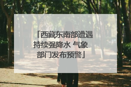 西藏东南部遭遇持续强降水 气象部门发布预警