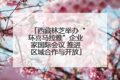 西藏林芝举办“环喜马拉雅”企业家国际会议 推进区域合作与开放