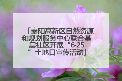 襄阳高新区自然资源和规划服务中心联合基层社区开展“6·25”土地日宣传活动