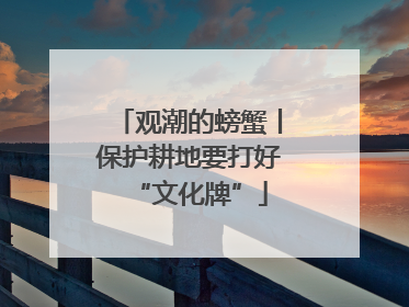 观潮的螃蟹丨保护耕地要打好“文化牌”