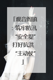 观音阁镇：筑牢防汛“安全堤” 打好抗洪“主动仗”