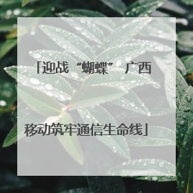 迎战“蝴蝶” 广西移动筑牢通信生命线
