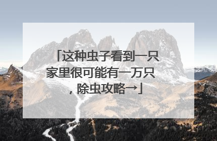 这种虫子看到一只家里很可能有一万只，除虫攻略→