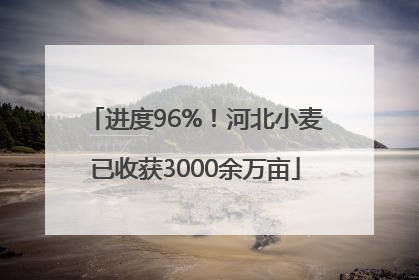 进度96%！河北小麦已收获3000余万亩