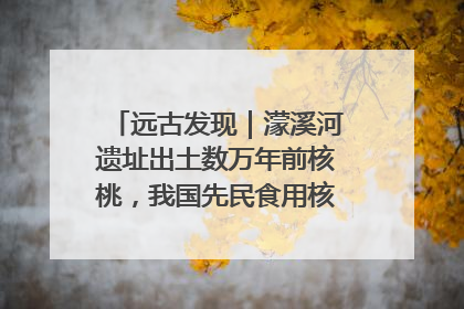 远古发现｜濛溪河遗址出土数万年前核桃，我国先民食用核桃历史大幅提前