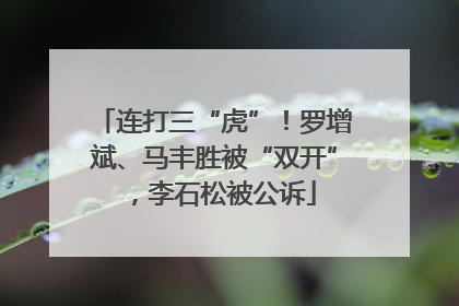 连打三“虎”！罗增斌、马丰胜被“双开”，李石松被公诉