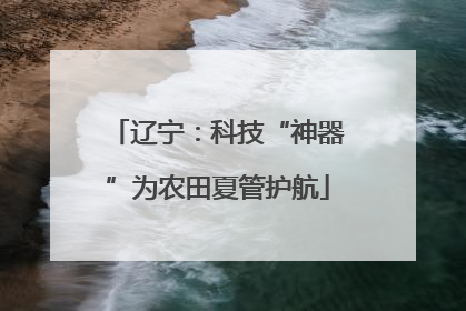 辽宁：科技“神器”为农田夏管护航
