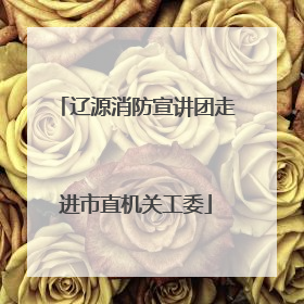 辽源消防宣讲团走进市直机关工委
