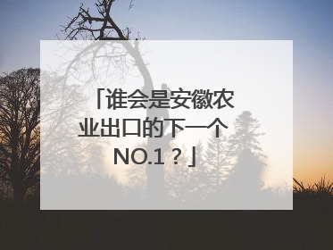 谁会是安徽农业出口的下一个NO.1？