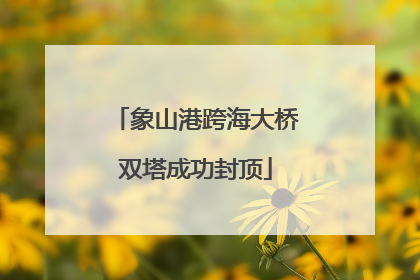 象山港跨海大桥双塔成功封顶