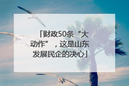 财政50条“大动作”，这是山东发展民企的决心