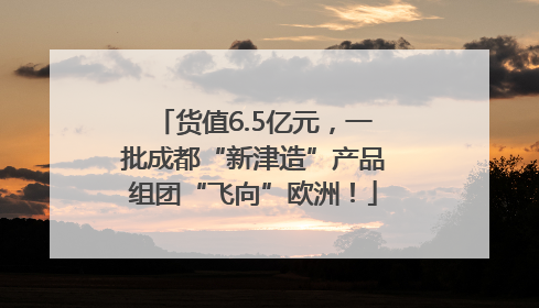 货值6.5亿元，一批成都“新津造”产品组团“飞向”欧洲！
