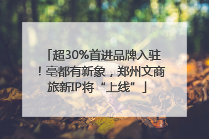 超30%首进品牌入驻！亳都有新象，郑州文商旅新IP将“上线”