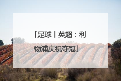 足球丨英超：利物浦庆祝夺冠