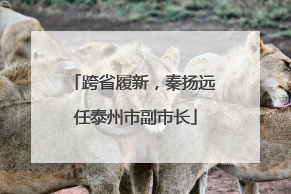 跨省履新，秦扬远任泰州市副市长