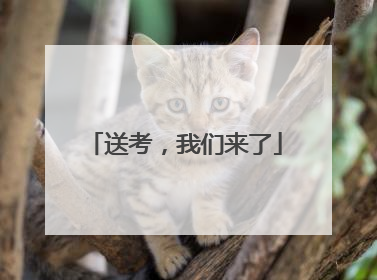 送考，我们来了