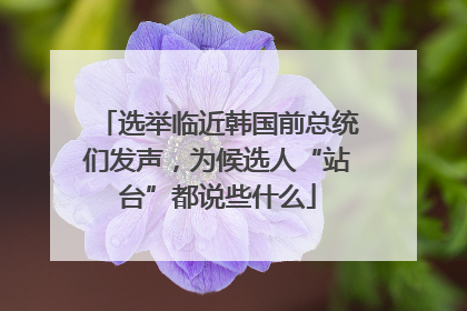 选举临近韩国前总统们发声，为候选人“站台”都说些什么