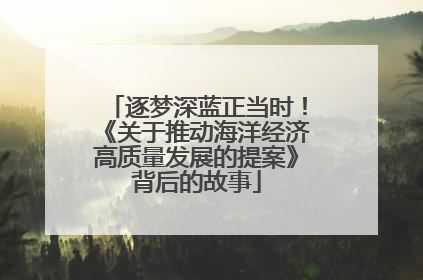 逐梦深蓝正当时！《关于推动海洋经济高质量发展的提案》背后的故事