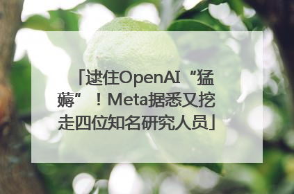 逮住OpenAI“猛薅”！Meta据悉又挖走四位知名研究人员
