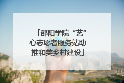 邵阳学院“艺”心志愿者服务站助推和美乡村建设