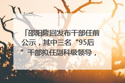 邵阳隆回发布干部任前公示，其中三名“95后”干部拟任副科级领导，均系硕士选调生