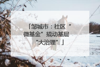 邹城市：社区“微基金”撬动基层“大治理”