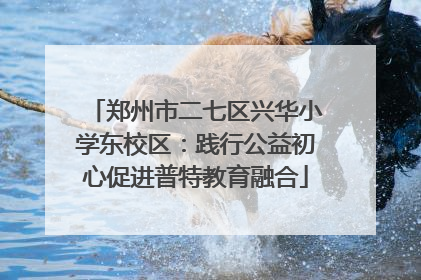 郑州市二七区兴华小学东校区：践行公益初心促进普特教育融合