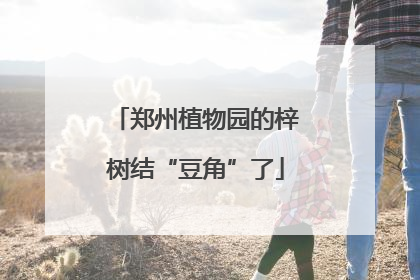 郑州植物园的梓树结“豆角”了