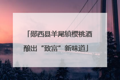 郧西县羊尾镇樱桃酒酿出“致富”新味道