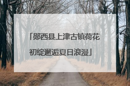 郧西县上津古镇荷花初绽邂逅夏日浪漫