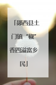 郧西县土门镇“椒”香四溢富乡民