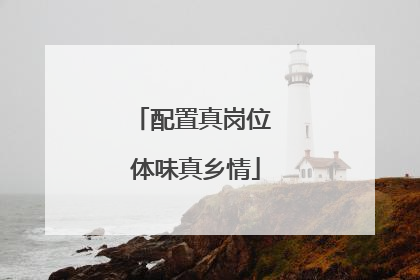 配置真岗位 体味真乡情