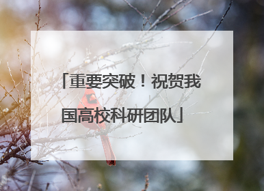 重要突破！祝贺我国高校科研团队