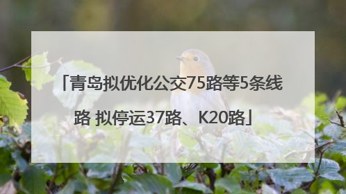 青岛拟优化公交75路等5条线路 拟停运37路、K20路