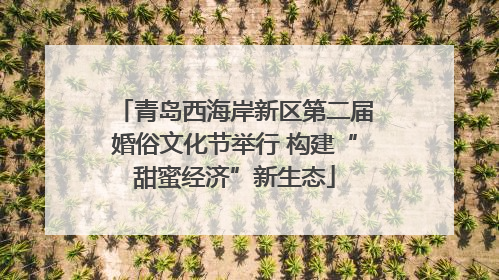 青岛西海岸新区第二届婚俗文化节举行 构建“甜蜜经济”新生态