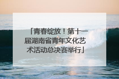 青春绽放！第十一届湖南省青年文化艺术活动总决赛举行