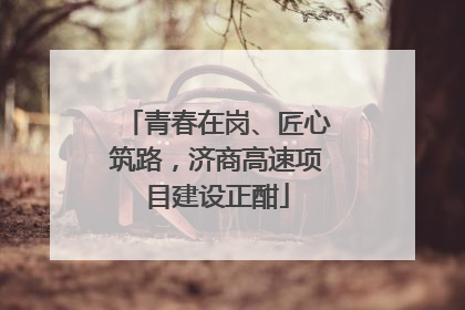 青春在岗、匠心筑路，济商高速项目建设正酣