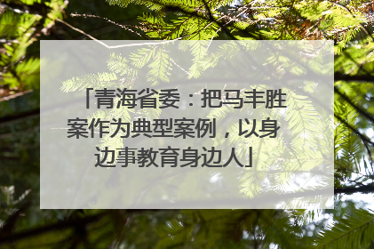 青海省委：把马丰胜案作为典型案例，以身边事教育身边人