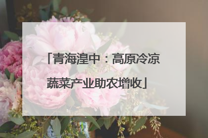 青海湟中：高原冷凉蔬菜产业助农增收