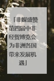 非媒盛赞第四届中非经贸博览会为非洲各国带来发展机遇