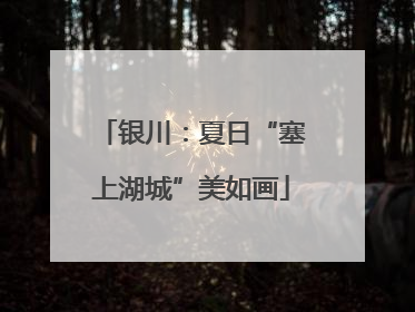 银川：夏日“塞上湖城”美如画